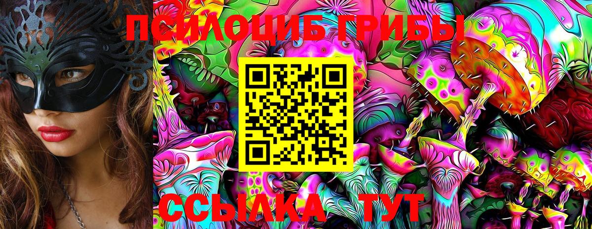 Подольск  Псилоцибиновые грибы ЛСД  Вход с VPN 